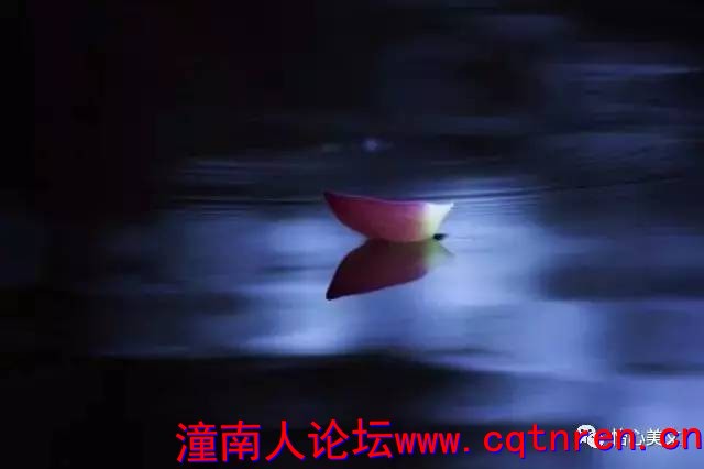 9b6dee8b0f88718b7d3a62637abd6bed.jpg