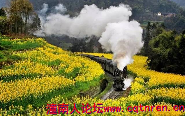 7e0419ba69b7f1a52bafd95d78054ff7.jpg
