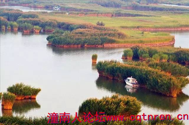 73d3b966b19e73d88193f9b28ca62cfe.jpg