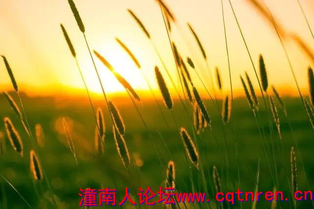 2a3cce37319a9aa54f96d7c9700e0a90.jpg