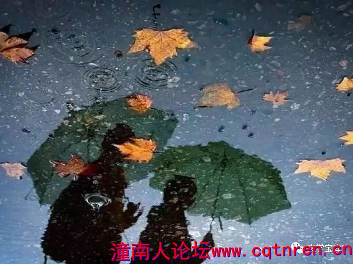 128c336590e131dd35019cc61c46c556.jpg