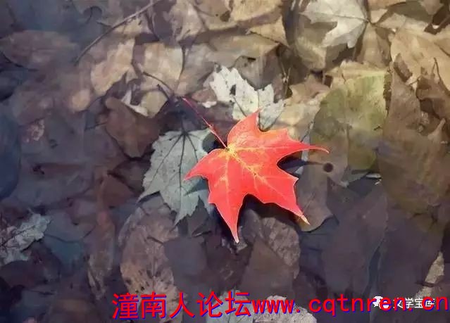 c7a595919791e27f98795186c4ddf1f5.jpg