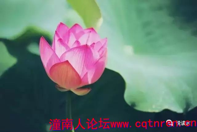 c764e3664855d0b0e385ab919e8f8c04.jpg