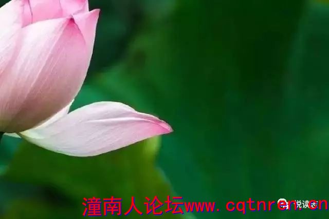 e5ac8948bb2ddc9e4e001a50c8ce7106.jpg