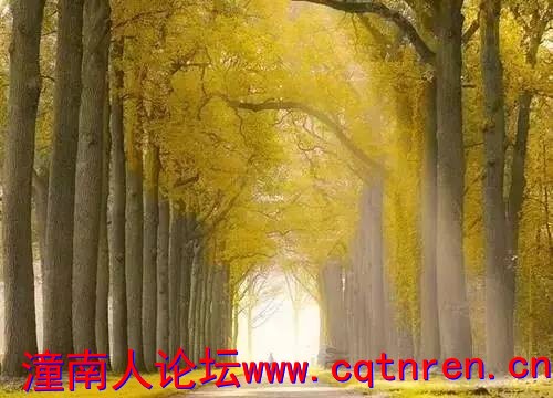 ef710c88284d0c6d8d5a8edb9824f1b0.jpg