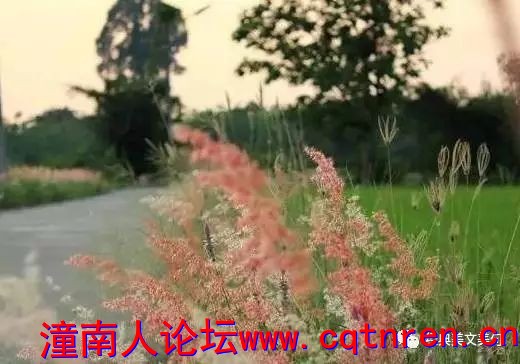1da50a114c2fa8effa4edf7f237fc36e.jpg