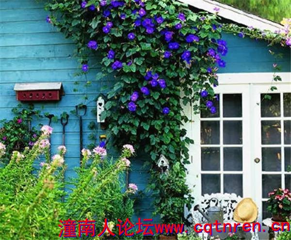 68101dc219415799663428aed38f568b.jpg