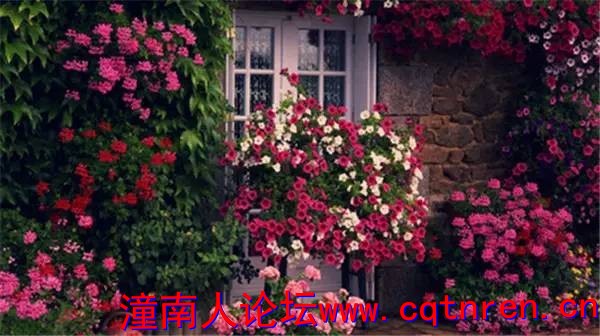 0c04ecccec9b8980efaacc30db808aea.jpg