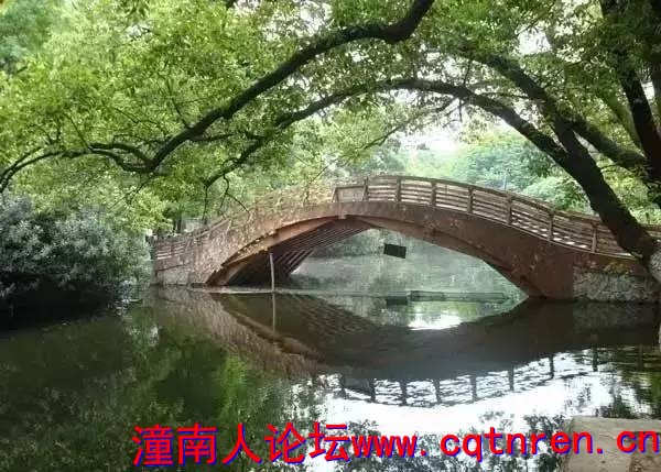 c25ae928a9c4e911cec6798fbbc3f86c.jpg