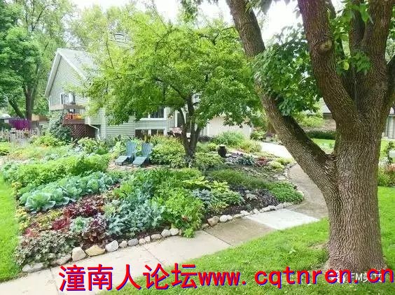 fd14e2f9c77adc7ec9ff0318769d797d.jpg