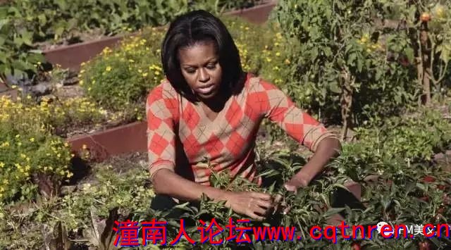56d1c49c19a0df32ba5116d48b2a6f2d.jpg