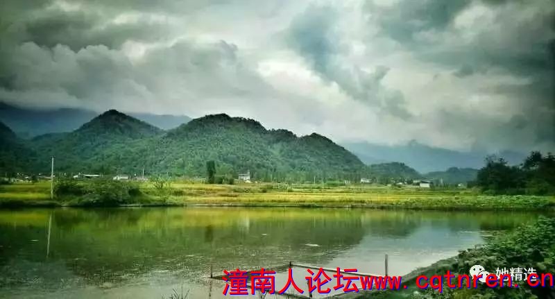 c8d220935b11992cc9df7cd338732ca5.jpg