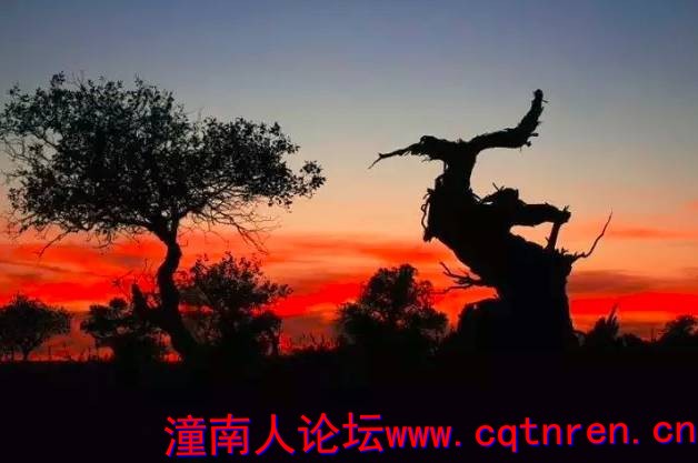 0fb902394a2500cc6cdd878b54b73108.jpg