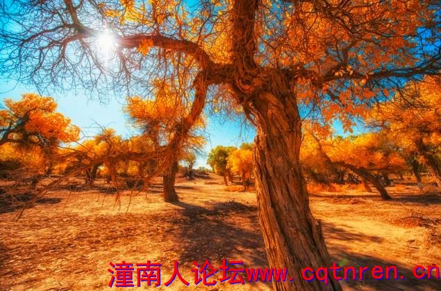 d1bf2db2c47e2fde67cd5fd40a3efc45.jpg