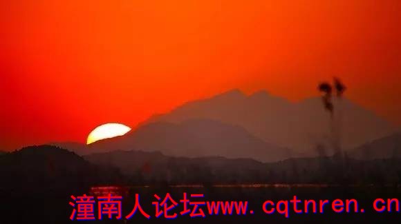 9336c25d9c9b8f8ff168b24677abe08c.jpg