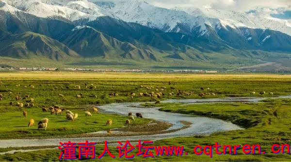 ce141282a4b3823833ce331b7dbada4c.jpg