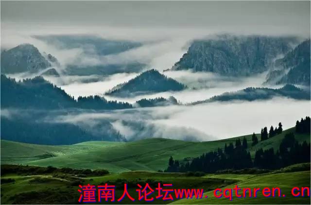 6e7f53b92b33a4249d423ec6b707fb88.jpg