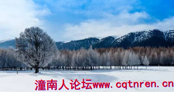1162fff432ab9765337915195acf9836.jpg