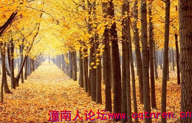 09ca96009e21497be987fded665510dd.jpg