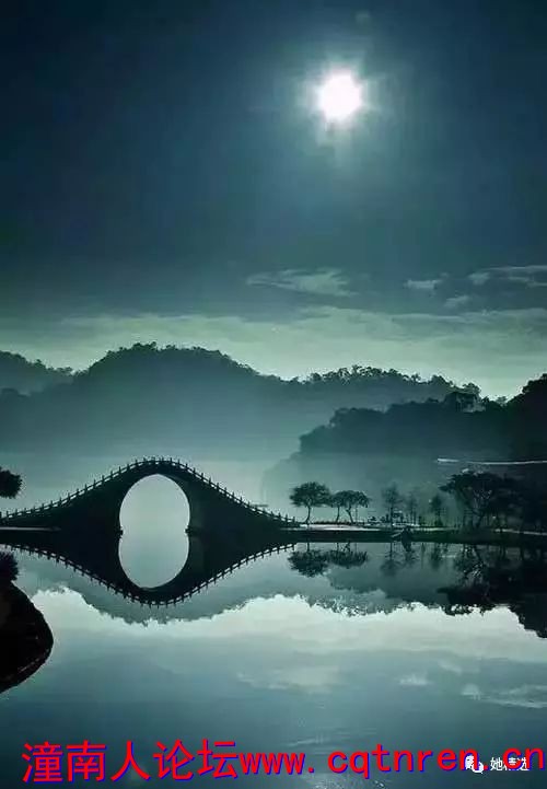 023d66765a77d40b5f7b26679e4a01d7.jpg