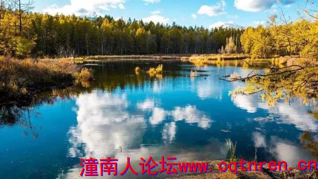 562ba1d09118b8b31d4a21a2741251fe.jpg