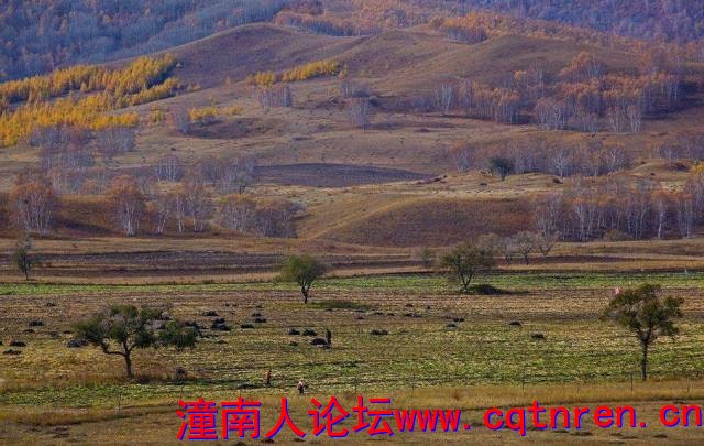 bd42730a83d6fcce39d190d9a0ad71a9.jpg