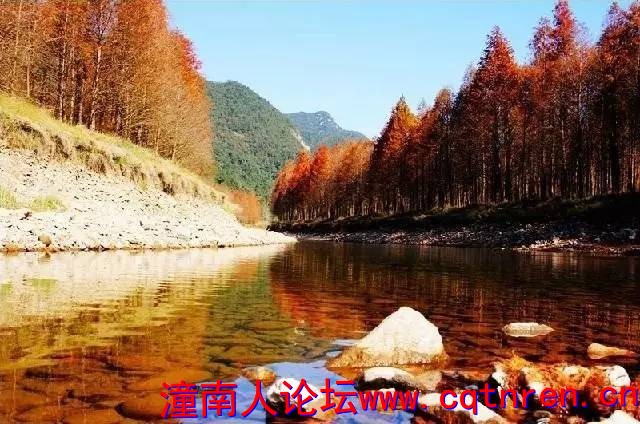 2b4d13032fda8ad38cb7a9f202ab822c.jpg