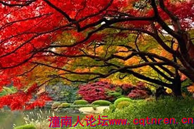 1587c5cb7b1c1d199398b2a346835b83.jpg