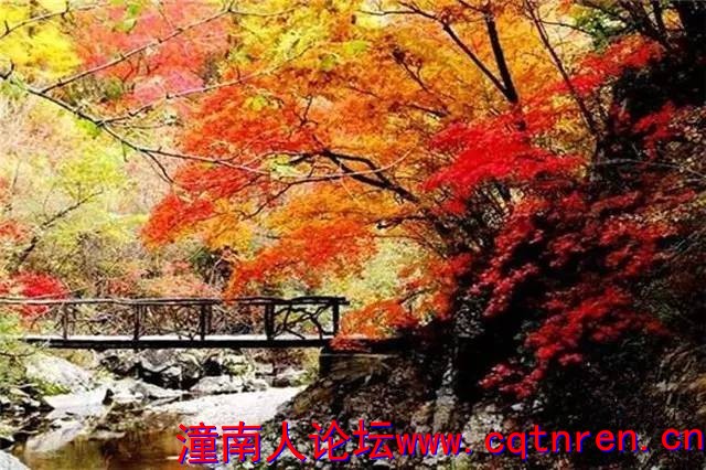 bbab2b20204661ed2ce7ad2417a50f01.jpg