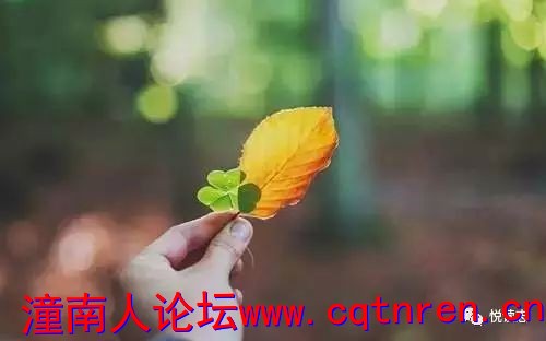 b55fa2573e8ba258b7a017d7aa00b69c.jpg