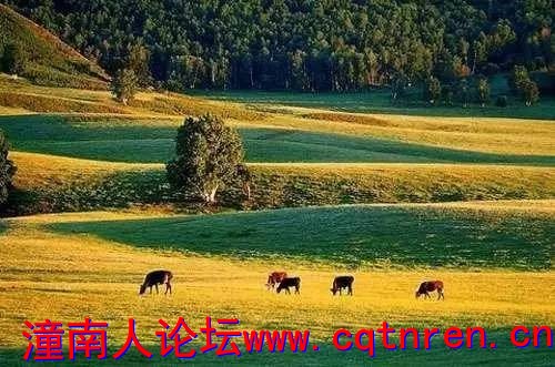 b12b5af92956be748cbc84b832e1d5bb.jpg