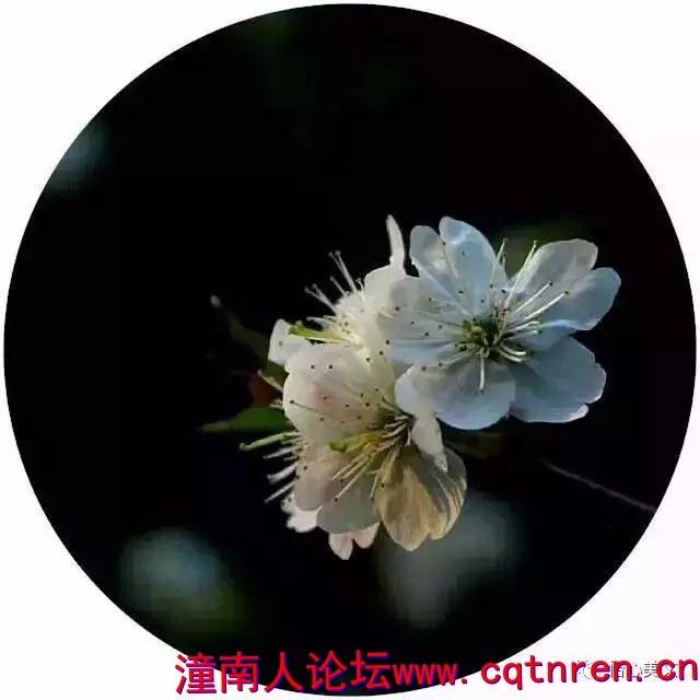 c7ab23c823b2b193c211cb61d2d81b82.jpg