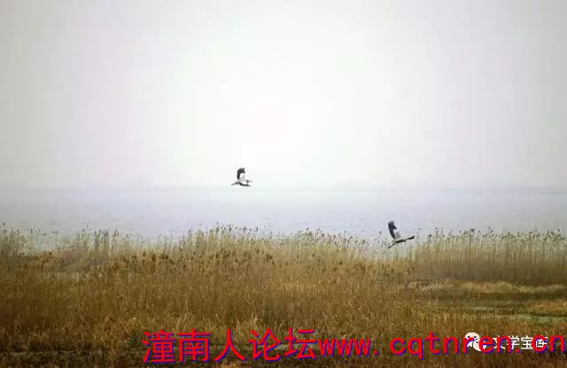 0dbbe57e8575bb45d8a80627e7711a90.jpg