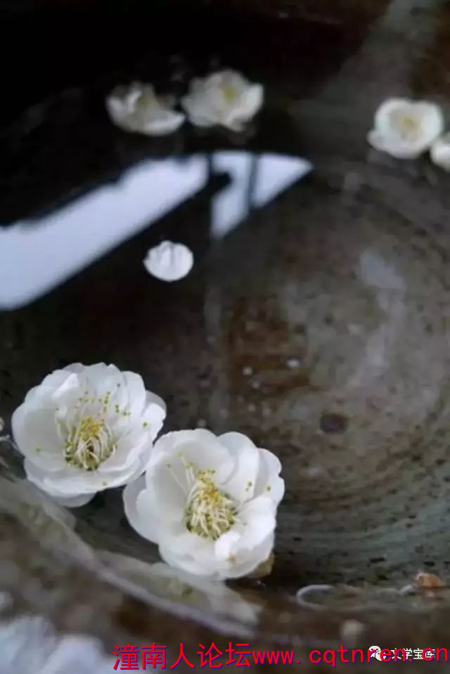 4069506c625154285b92989345b65c42.jpg