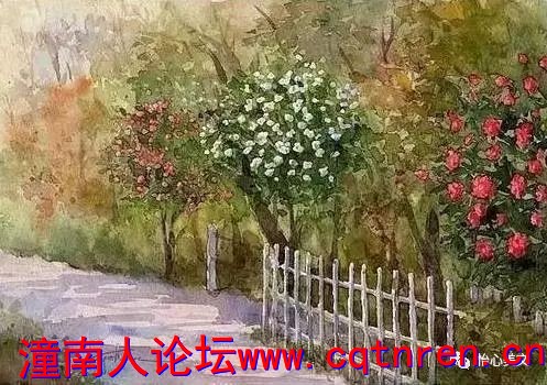 0466cee67cf33dfa46e71040b8ed44d7.jpg