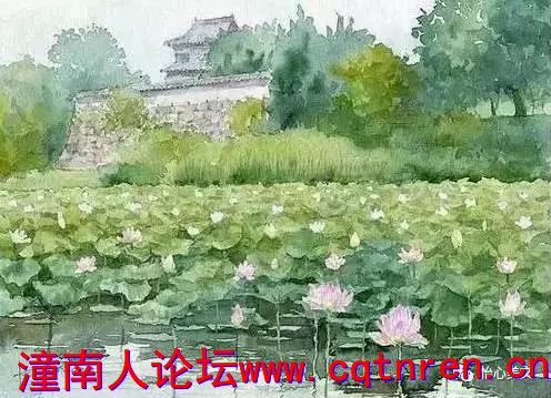 7cd40adc5304565130cfcb7db0b1f35f.jpg