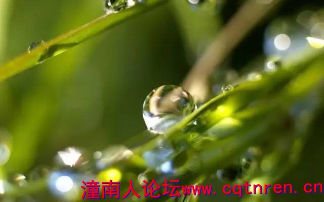 67d82d910497beede674080cedbac704.jpg