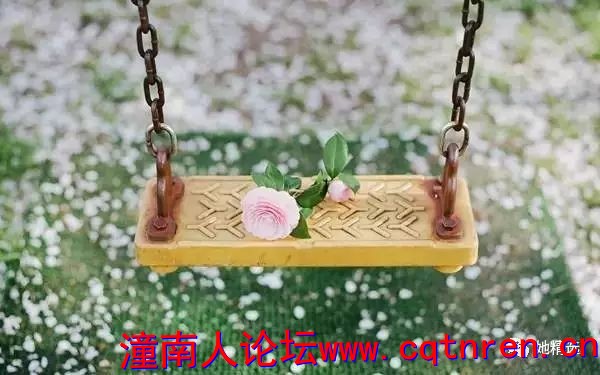 fa4abb0296837203cb5e9f15408ec858.jpg