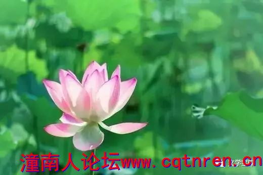 7dd9616232ab14335a8f876b25162972.jpg