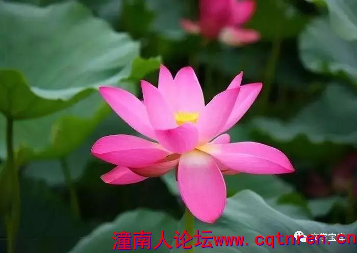 9ca6b018b6262afd6ea37090d6a1140b.jpg