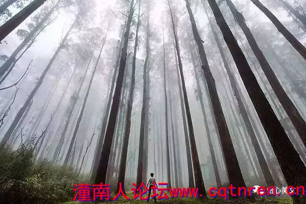 1ef5e739e10f5193c10dbeae46db8bb8.jpg