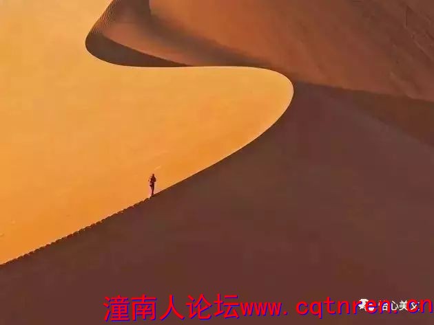 29c866c5b8775a0e5095544080423d3a.jpg