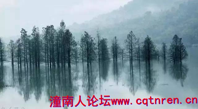 ceaa264b66000327db34e5ff3d0c907b.jpg