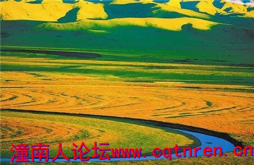 fdd91a6b06aa9c829ac0d5f9c0536db5.jpg