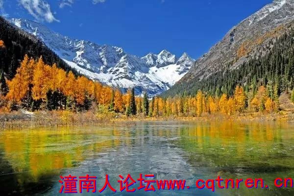 58d1f33e3ac60f3702da808d3d42258c.jpg