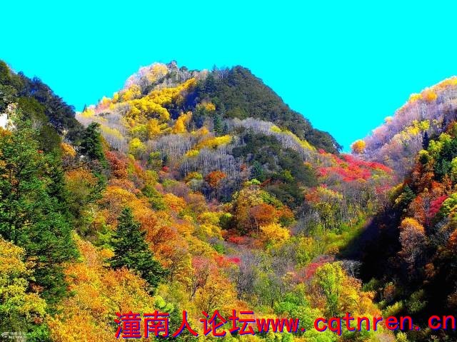 ab0be780f0f40bbefca3bd23809f12b3.jpg