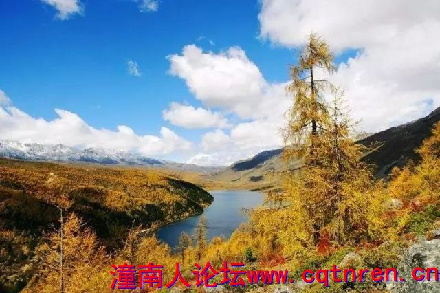 776e11e2cdd6a9d39a567a017ef7e160.jpg