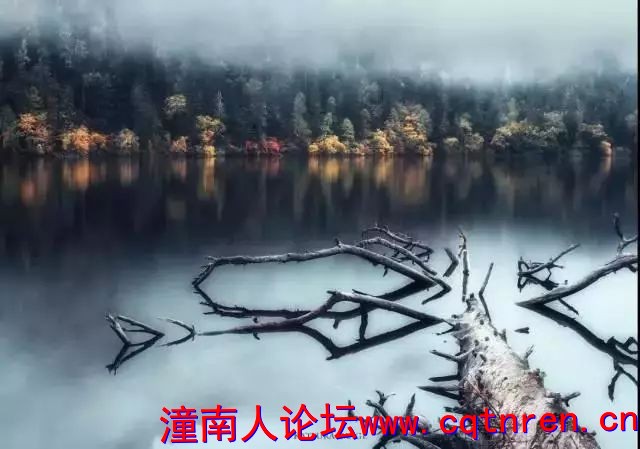 afe0c92a9862ab03d716bc6a4b6248f6.jpg