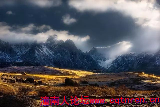 6a39b50cba0debd13680a24eff2d56a7.jpg