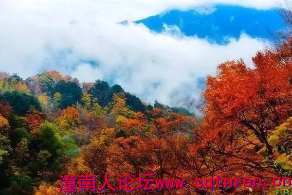 5eb50e1ff30a951a178a2f8fdb0b73e5.jpg
